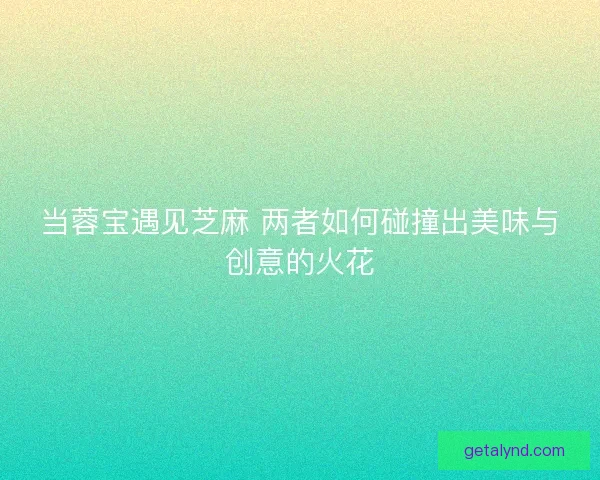 当蓉宝遇见芝麻 两者如何碰撞出美味与创意的火花